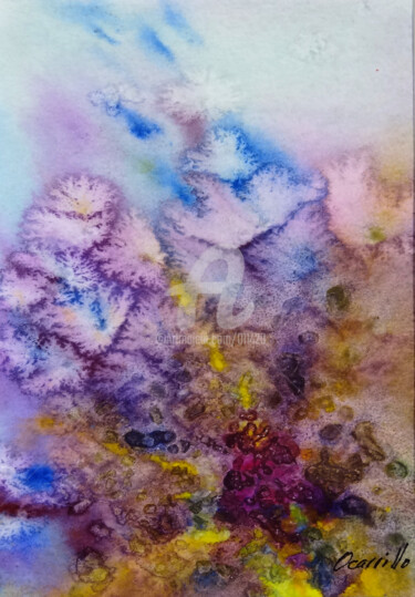 ocarrillo-coral.jpg